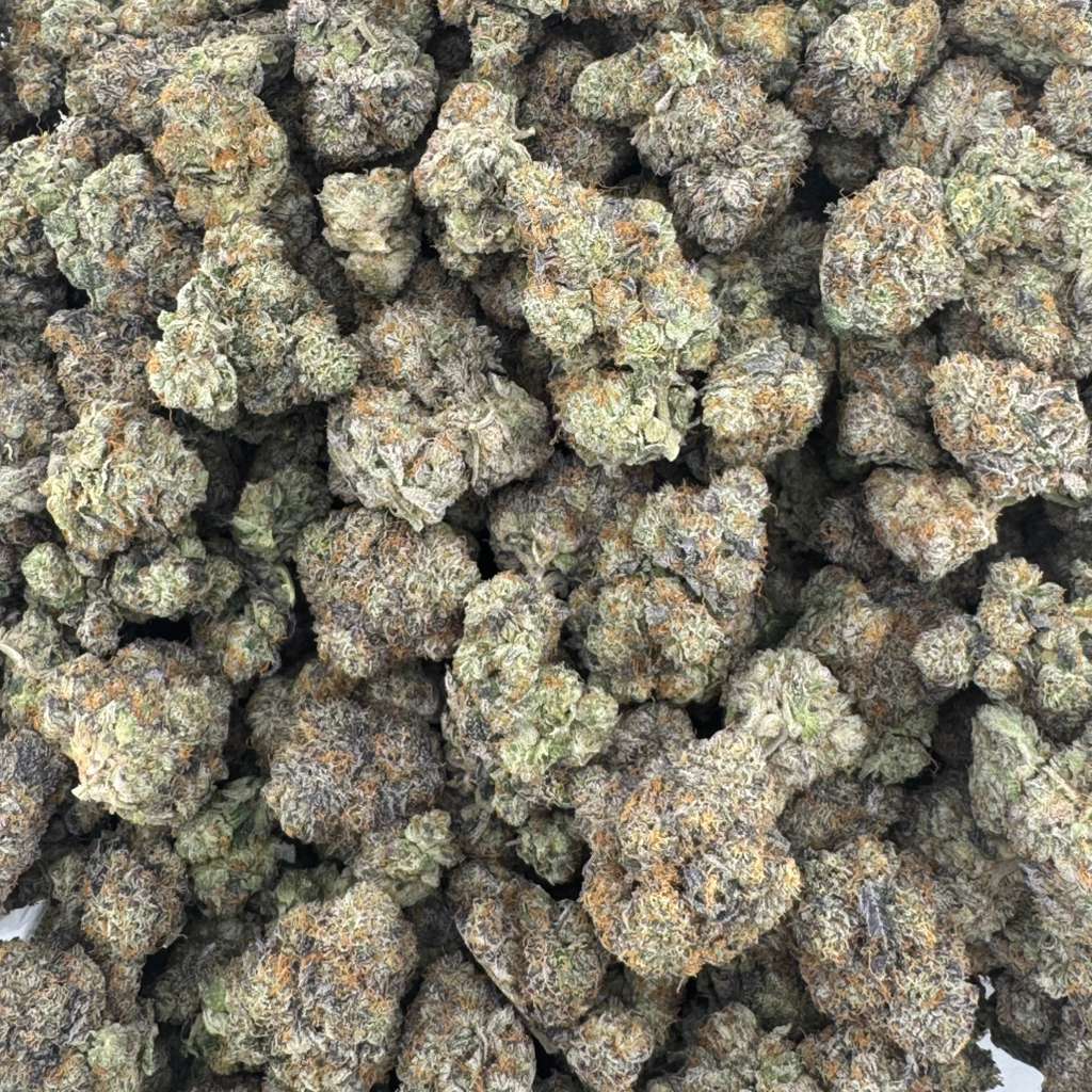 CANDY JACK