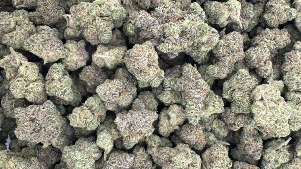 GELLO SHOTZ THCA flower — Toke Town USA