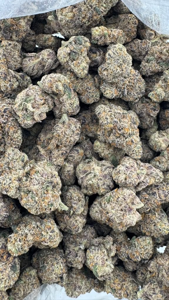 KOMBUCHA THCA flower — Toke Town USA