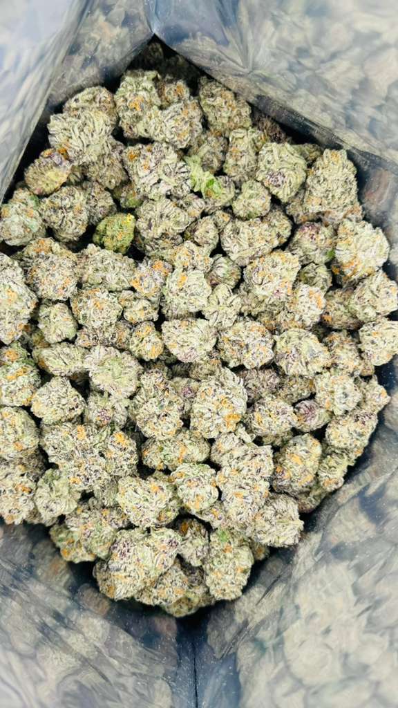 PURPLE PUNCH