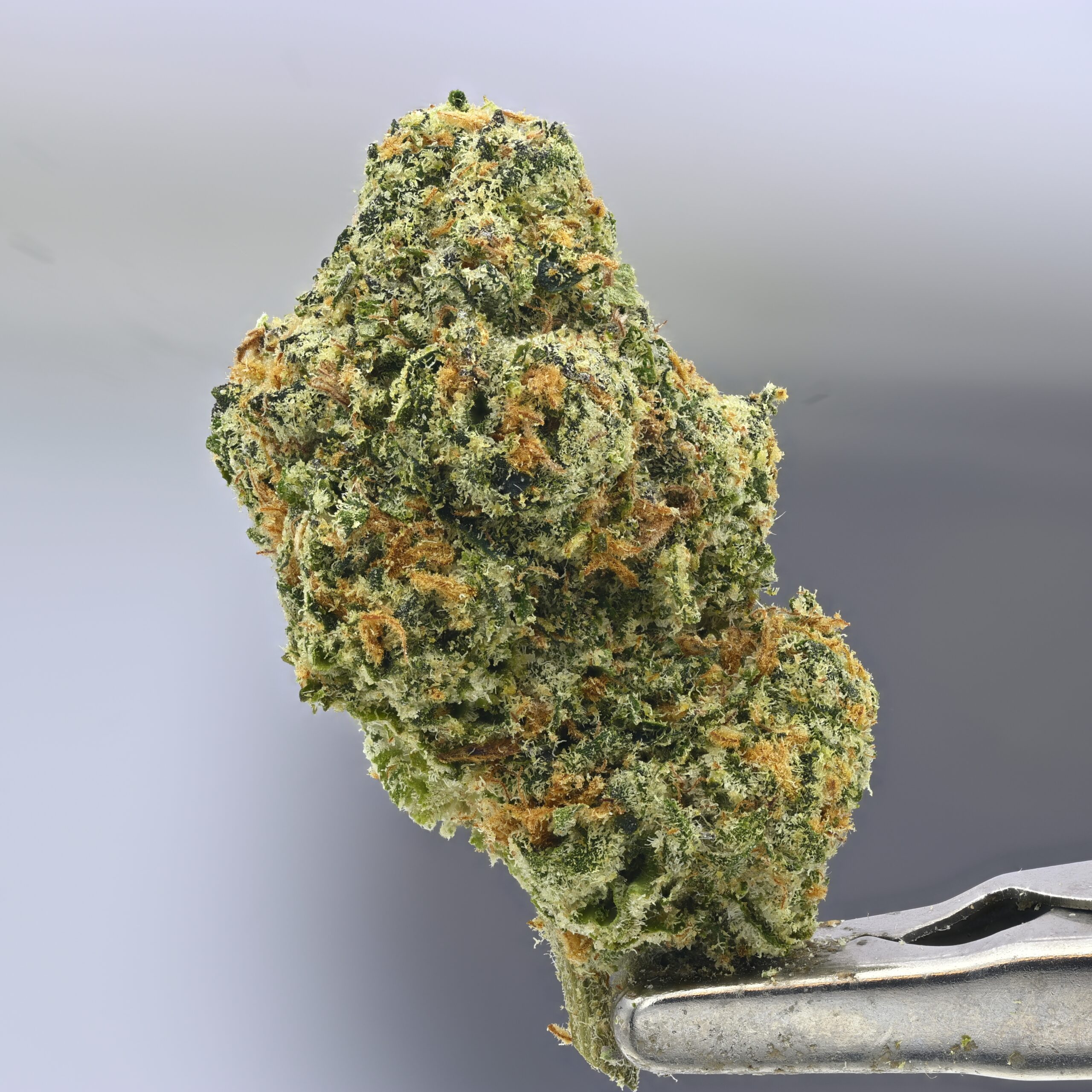 Preferred Gardens Twin THCA flower — White Ash Reserve