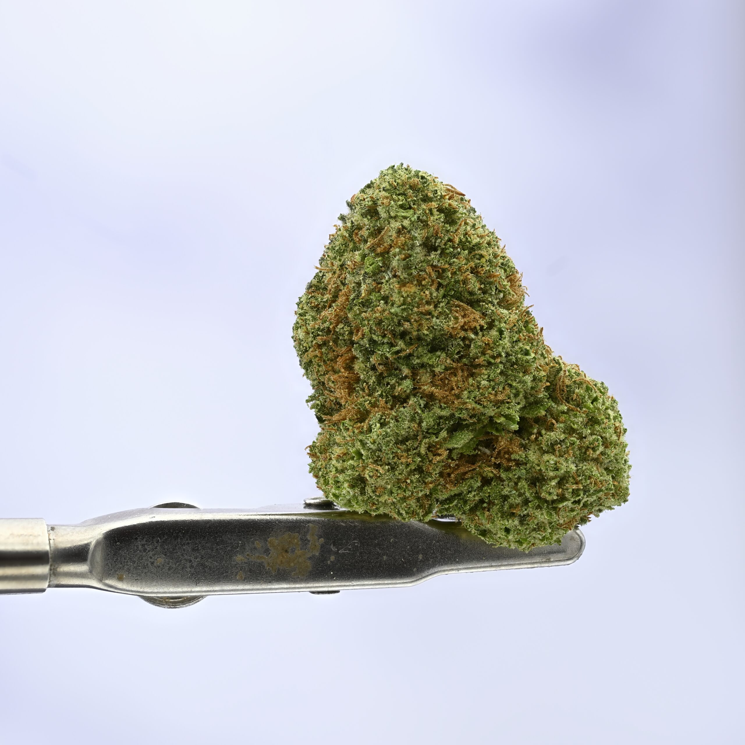 WoodWide 4Z THCA flower — White Ash Reserve