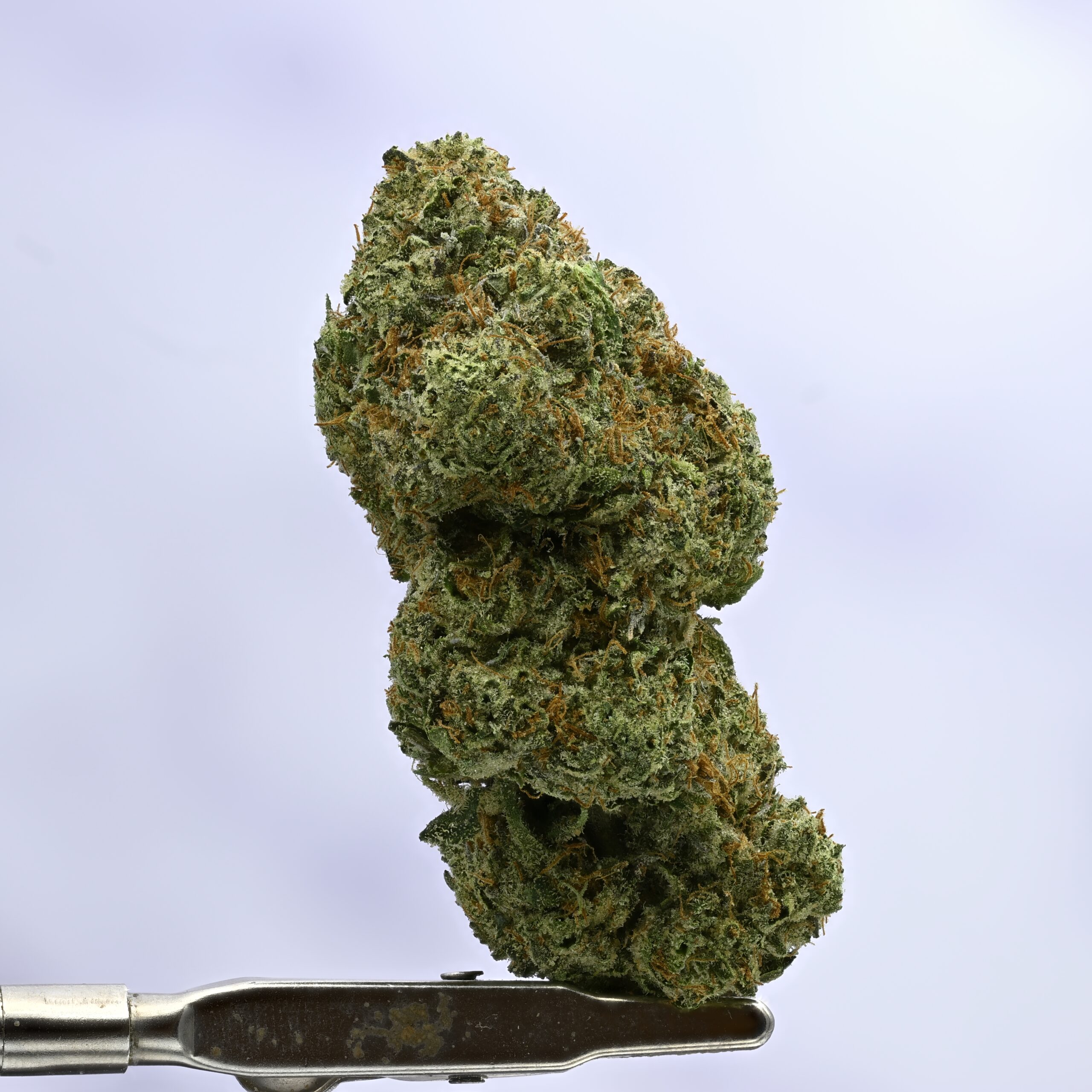 WoodWide Lantz THCA flower — White Ash Reserve